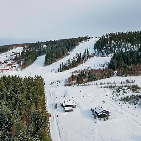 Luoteistuuli - 8+2 Hloe, Luoteis-himos Ski-in/out, 88m² + 30m² * Jämsä