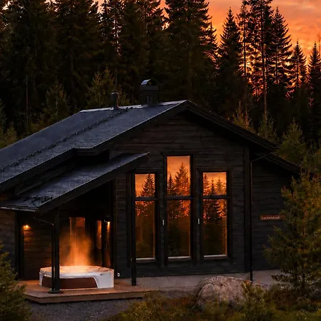 Luoteistuuli - 8+2 Hloe, Luoteis-himos Ski-in/out, 88m² + 30m² Jämsä