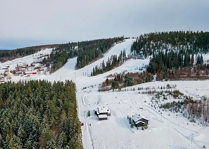 Luoteistuuli - 8+2 Hloe, Luoteis-himos Ski-in/out, 88m² + 30m² * Jämsä